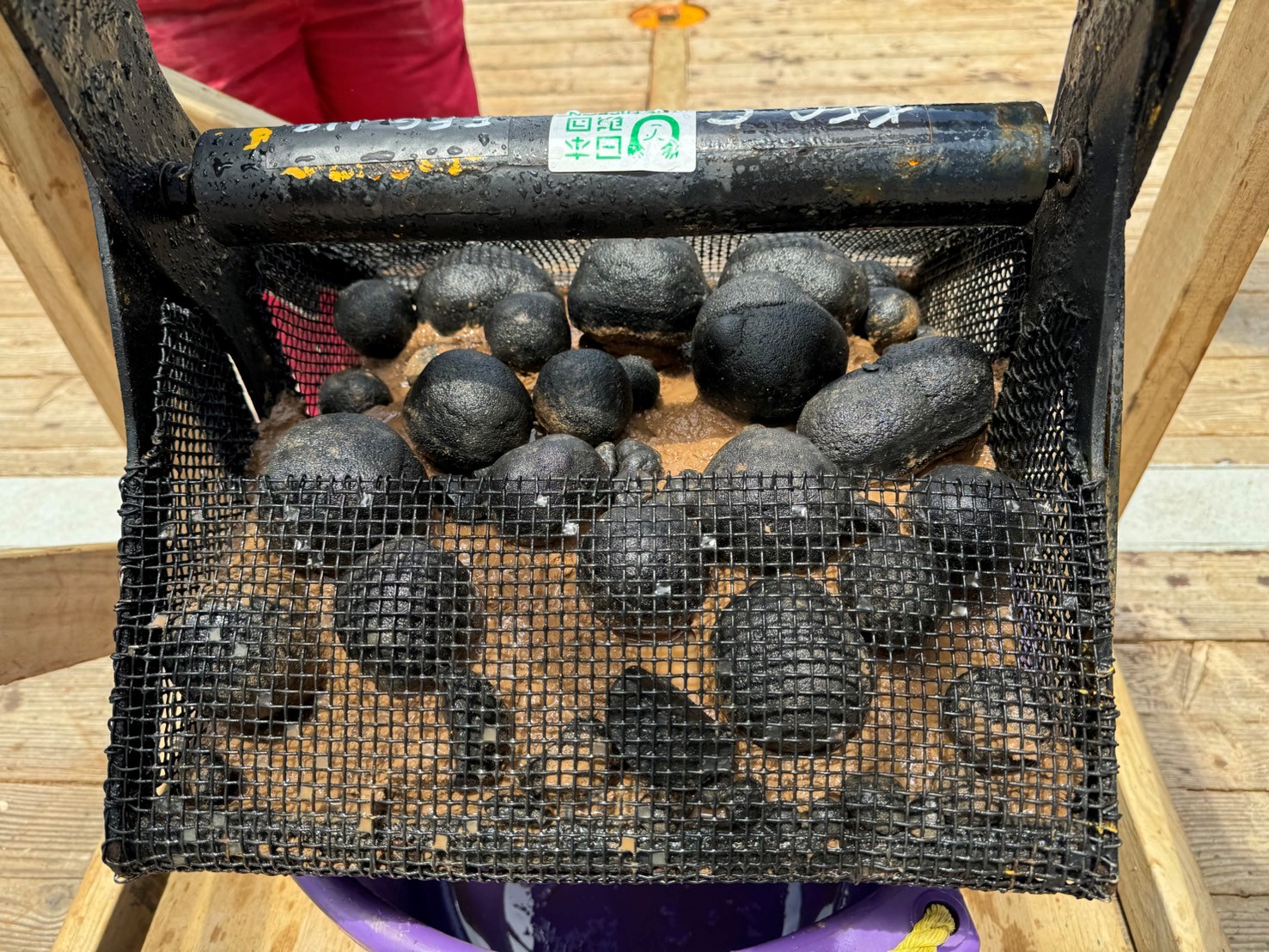 激戦をしり目に最高級車を運転し、週末を五つ星ホテルで過ごすウクライナの若い難民