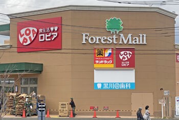 スーパーの異端児ロピアは何がすごい　社長夫人のカトパンか？