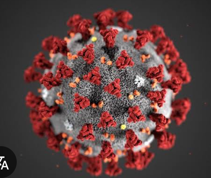 新型コロナワクチン接種後死亡　国の救済が１０００人超