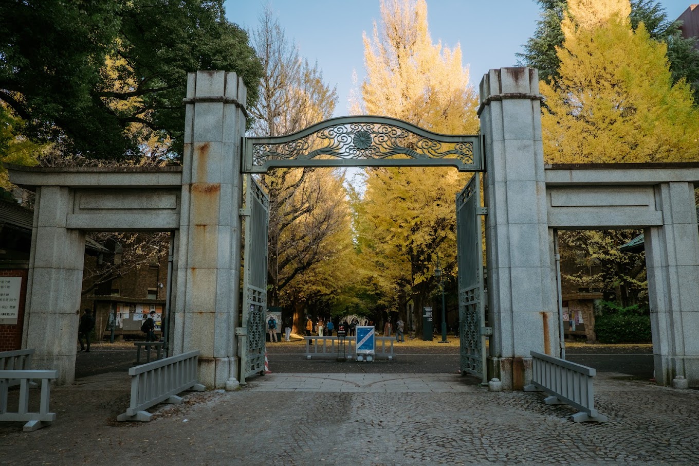 国内ユニコーン、スタートアップ企業の新たな幕開けでイノベーションを起こせ