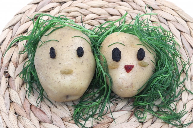 男女共同参画のナショナルセンターは必要か その3 ゴールを見失った男女共同参画事業