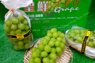 日本原産のシャインマスカットなどの海外流出の現状